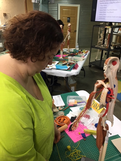 Working in class, Jenny is adding, colored clay, nerves to the arm of her plastic base model. She has already added muscles of the upper leg and arm, arteries of the arm and hand and a heart.